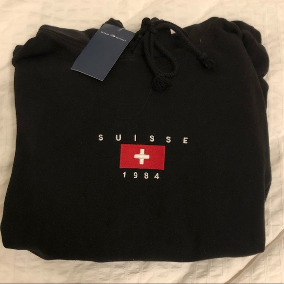 BNWT Brandy Melville suisse hoodie, hard to find! - Picture 3 of 4
